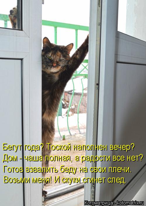 Котоматрица: Дом - чаша полная, а радости все нет? Бегут года? Тоской наполнен вечер? Готов взвалить беду на свои плечи. Возьми меня! И скуки сгинет след.