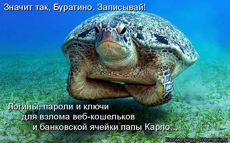 Котоматрица: Значит так, Буратино. Записывай! Логины, пароли и ключи  для взлома веб-кошельков  и банковской ячейки папы Карло...
