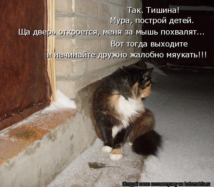 Котоматрица: Так. Тишина! Мура, построй детей. Ща дверь откроется, меня за мышь похвалят... Вот тогда выходите  и начинайте дружно жалобно мяукать!!!