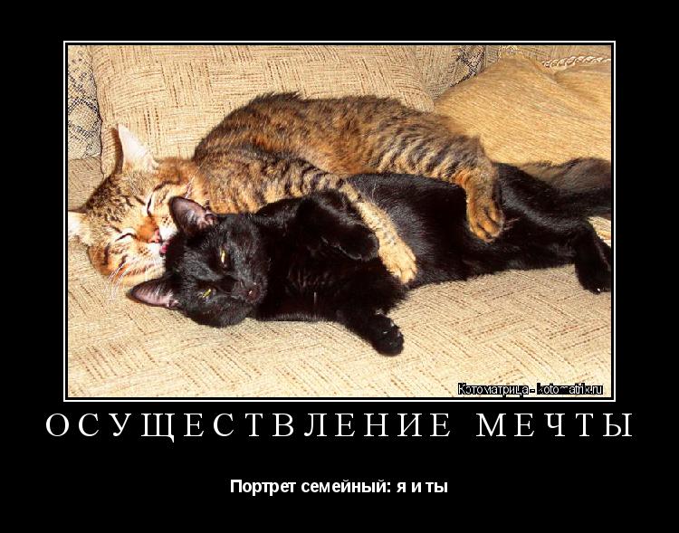 Котоматрица: ОСУЩЕСТВЛЕНИЕ МЕЧТЫ Портрет семейный: я и ты