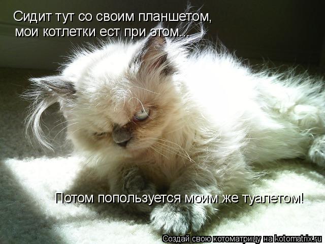 Сидит тут со своим планшетом, мои котлетки ест при этом... Потом попользуется моим же туалетом!... Котоматрица: Сидит тут со своим планшетом, мои котлетки ест при этом... Потом попользуется моим же туалетом!