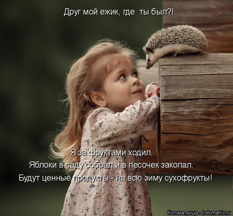 Котоматрица: Я за фруктами ходил. Яблоки в саду собрал и в песочек закопал. Будут ценные продукты - на всю зиму сухофрукты! Друг мой ежик, где  ты был?!