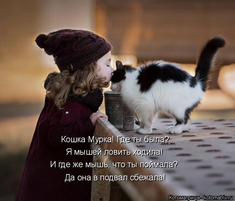 Котоматрица: Кошка Мурка! Где ты была? Я мышей ловить ходила! И где же мышь, что ты поймала? Да она в подвал сбежала!