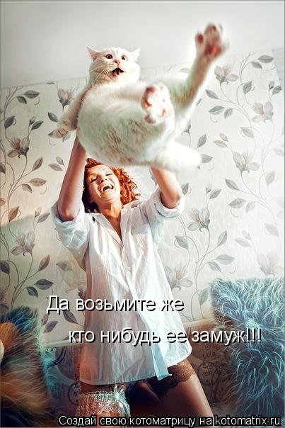Котоматрица: Да возьмите же  кто нибудь ее замуж!!!