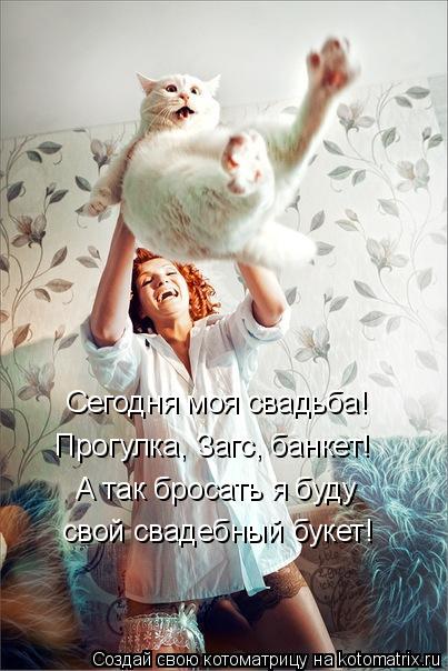 Котоматрица: свой свадебный букет! Прогулка, Загс, банкет! Сегодня моя свадьба! А так бросать я буду