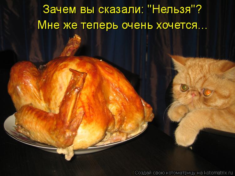 Котоматрица: Зачем вы сказали: "Нельзя"? Мне же теперь очень хочется...