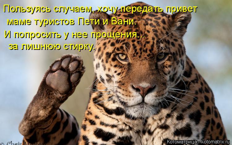 Котоматрица: Пользуясь случаем, хочу передать привет  маме туристов Пети и Вани.  И попросить у нее прощения... за лишнюю стирку.