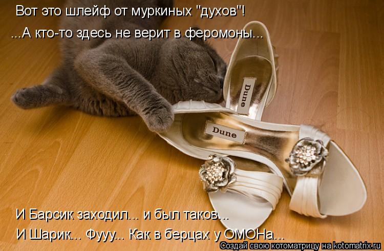 Вот это шлейф от муркиных "духов"! ...А кто-то здесь не верит в феромоны... И Барсик заходил... и был... Котоматрица: Вот это шлейф от муркиных "духов"! ...А кто-то здесь не верит в феромоны... И Барсик заходил... и был таков... И Шарик... Фууу... Как в берцах у ОМОНа...
