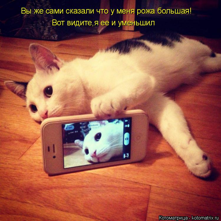Котоматрица: Вы же сами сказали что у меня рожа большая! Вот видите,я ее и уменьшил