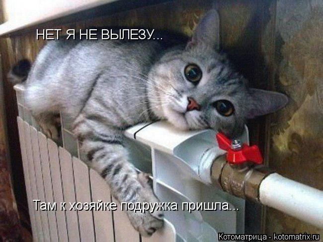Котоматрица: НЕТ Я НЕ ВЫЛЕЗУ... Там к хозяйке подружка пришла...