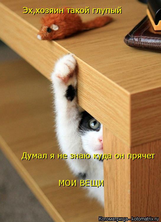 Котоматрица: Хех, хозяин такой глупый Эх,хозяин такой глупый  Думал я не знаю куда он прячет МОИ ВЕЩИ
