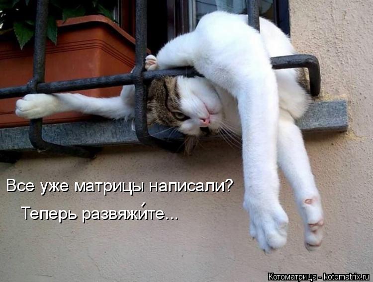 Все уже матрицы написали? Теперь развяжите... -... Котоматрица: Все уже матрицы написали? Теперь развяжите... -