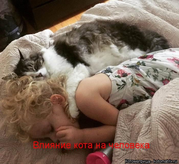 Котоматрица: Влияние кота на человека