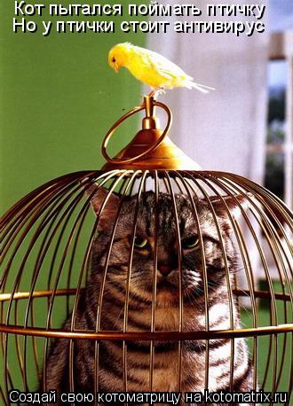 Котоматрица: Кот пытался поймать птичку Но у птички стоит антивирус