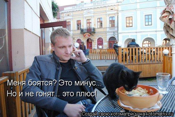 Котоматрица: Меня боятся? Это минус... Но и не гонят... это плюс!
