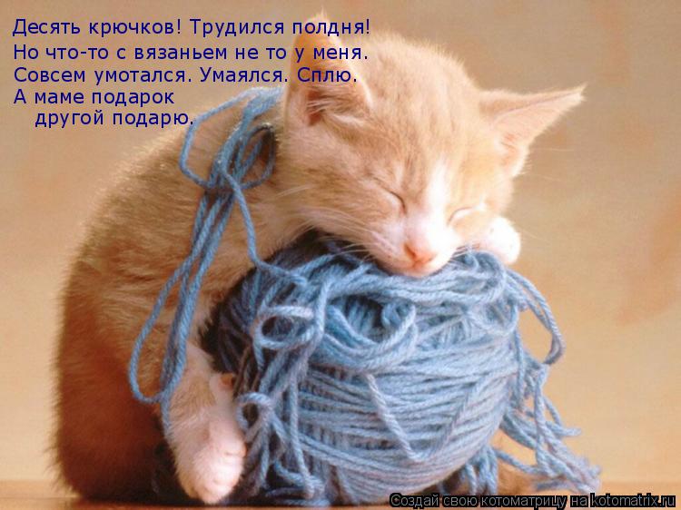 Десять крючков! Трудился полдня! Но что-то с вязаньем не то у меня. Совсем умотался. Умаялся. Сплю. А... Котоматрица: Десять крючков! Трудился полдня! Но что-то с вязаньем не то у меня. Совсем умотался. Умаялся. Сплю. А маме подарок другой подарю.