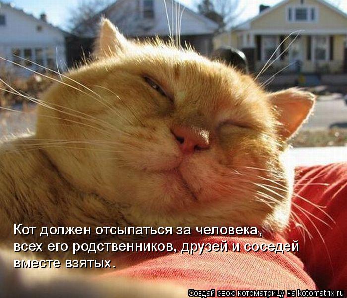 Котоматрица: Кот должен отсыпаться за человека,  всех его родственников, друзей и соседей  вместе взятых.
