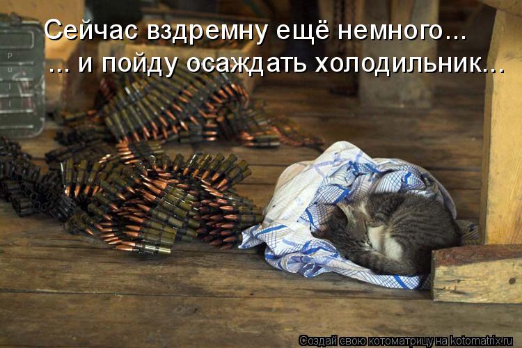 Котоматрица: Сейчас вздремну ещё немного... ... и пойду осаждать холодильник...