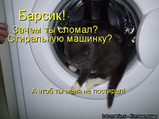 Котоматрица: Барсик! Зачем ты сломал? Стиральную машинку? А чтоб ты меня не постирал!