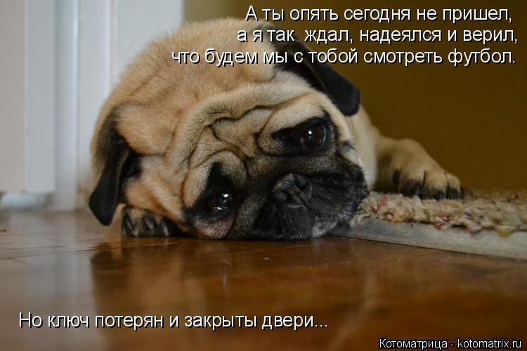 Котоматрица: А ты опять сегодня не пришел,  а я так  ждал, надеялся и верил,  что будем мы с тобой смотреть футбол. Но ключ потерян и закрыты двери...
