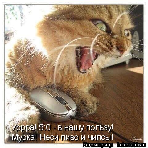 Уррра! 5:0 - в нашу пользу! Мурка! Неси пиво и чипсы!... Котоматрица: Уррра! 5:0 - в нашу пользу! Мурка! Неси пиво и чипсы!