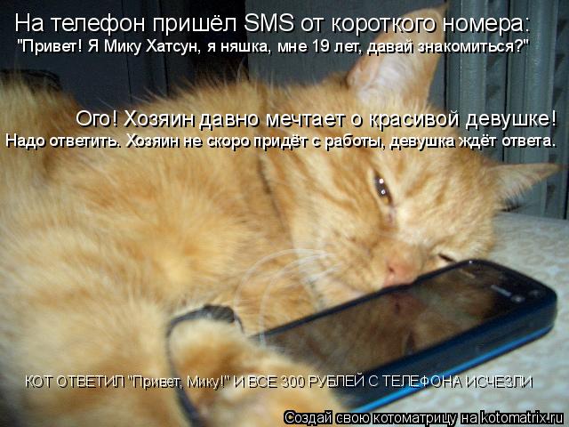 Котоматрица: На телефон пришёл SMS от короткого номера: "Привет! Я Мику Хатсун, я няшка, мне 19 лет, давай знакомиться?" Ого! Хозяин давно мечтает о красивой д?