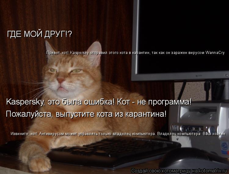 Котоматрица: ГДЕ МОЙ ДРУГ!? Привет, кот! Kaspersky отправил этого кота в карантин, так как он заражен вирусом WannaCry Kaspersky, это была ошибка! Кот - не программа! Пож?