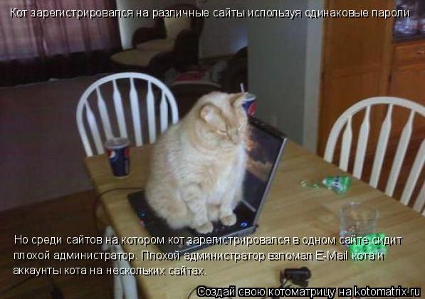 Котоматрица: Кот зарегистрировался на различные сайты используя одинаковые пароли Но среди сайтов на котором кот зарегистрировался в одном сайте сиди?