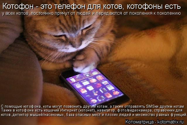 Котоматрица: Котофон - это телефон для котов, котофоны есть у всех котов, постоянно прячут от людей и передаются от поколения к поколению С помощью котоф?