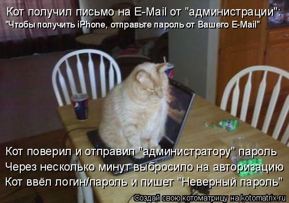 Котоматрица: Кот получил письмо на E-Mail от "администрации": "Чтобы получить iPhone, отправьте пароль от Вашего E-Mail" Кот поверил и отправил "администратору" па?