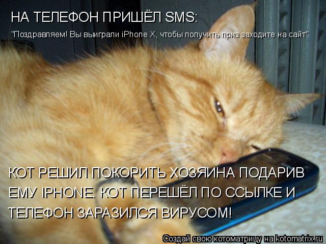 Котоматрица: НА ТЕЛЕФОН ПРИШЁЛ SMS: "Поздравляем! Вы выиграли iPhone X, чтобы получить приз заходите на сайт" КОТ РЕШИЛ ПОКОРИТЬ ХОЗЯИНА ПОДАРИВ ЕМУ IPHONE. КОТ ПЕ