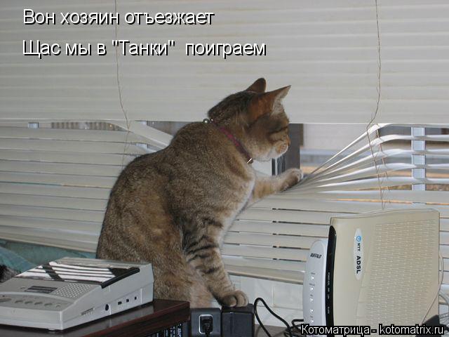 Вон хозяин отъезжает Щас мы в "Танки" поиграем... Котоматрица: Вон хозяин отъезжает Щас мы в "Танки" поиграем
