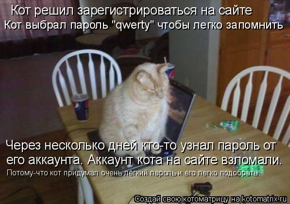 Котоматрица: Кот решил зарегистрироваться на сайте Кот выбрал пароль "qwerty" чтобы легко запомнить Через несколько дней кто-то узнал пароль от его аккаунт