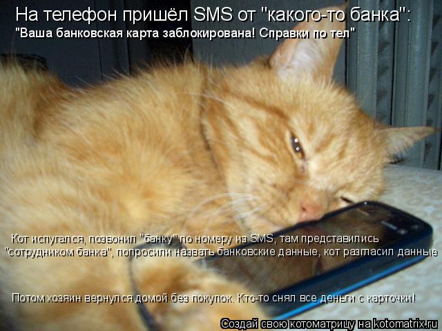 Котоматрица: На телефон пришёл SMS от "какого-то банка": "Ваша банковская карта заблокирована! Справки по тел" Кот испугался, позвонил "банку" по номеру из SMS