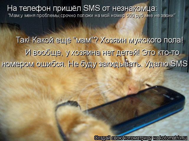 Котоматрица: На телефон пришёл SMS от незнакомца: "Мам,у меня проблемы,срочно положи на мой номер 500 руб,мне не звони" Так! Какой ещё "мам"? Хозяин мужского по