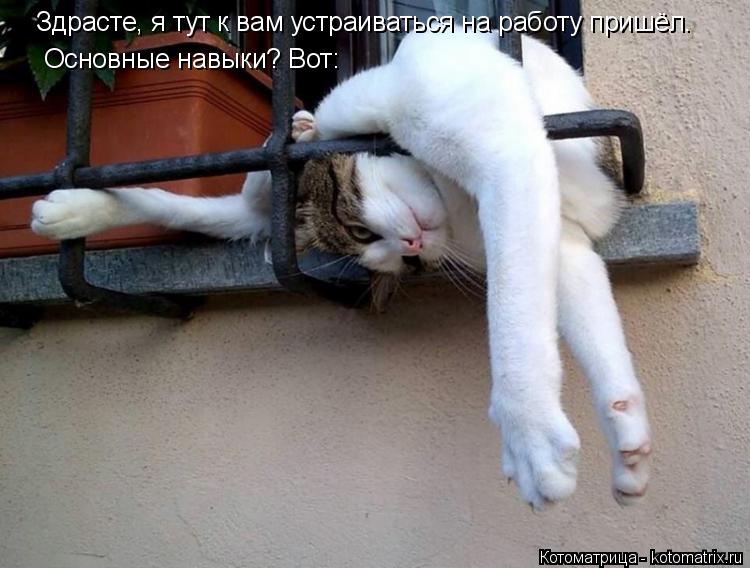 Здрасте, я тут к вам устраиваться на работу пришёл. Основные навыки? Вот:... Котоматрица: Здрасте, я тут к вам устраиваться на работу пришёл. Основные навыки? Вот: