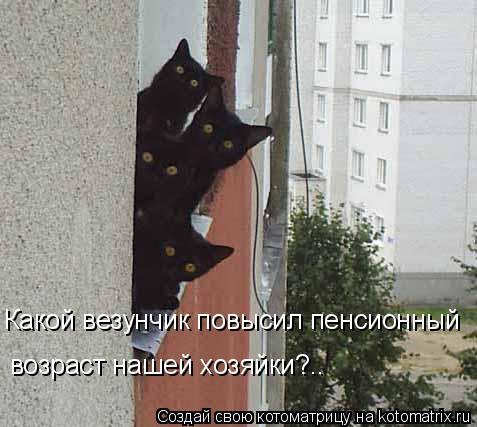 Котоматрица: Какой везунчик повысил пенсионный  возраст нашей хозяйки?..
