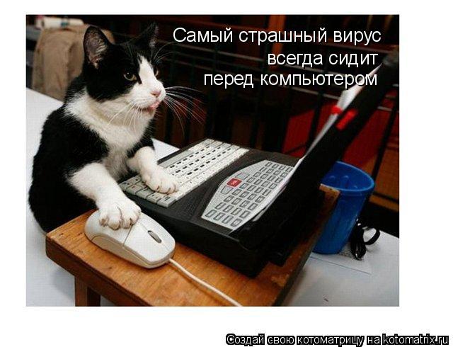 Котоматрица: Самый страшный вирус всегда сидит перед компьютером