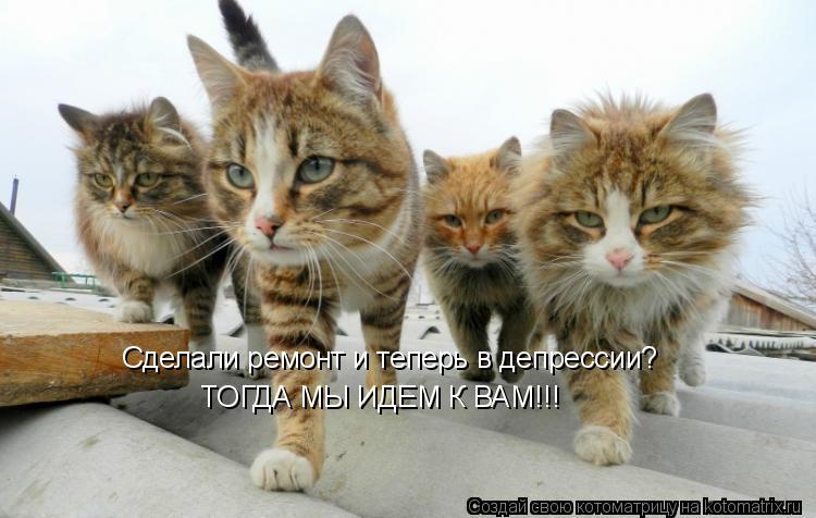 Котоматрица: Сделали ремонт и теперь в депрессии? ТОГДА МЫ ИДЕМ К ВАМ!!!