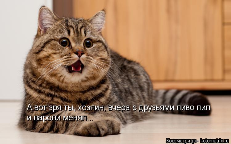 Котоматрица: А вот зря ты, хозяин, вчера с друзьями пиво пил  и пароли менял...