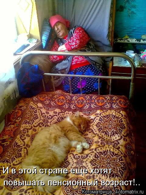 Котоматрица: повышать пенсионный возраст!.. И в этой стране еще хотят