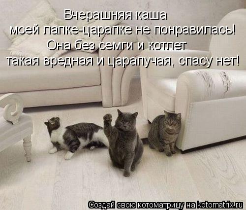 Котоматрица: Вчерашняя каша  моей лапке-царапке не понравилась! Она без семги и котлет такая вредная и царапучая, спасу нет!