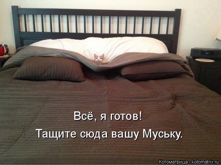 Всё, я готов! Тащите сюда вашу Муську.... Котоматрица: Всё, я готов! Тащите сюда вашу Муську.