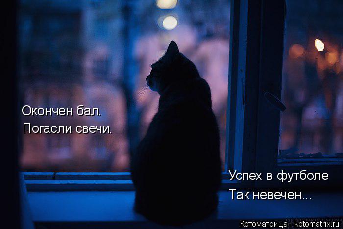 Котоматрица: Окончен бал. Погасли свечи. Успех в футболе Так невечен...