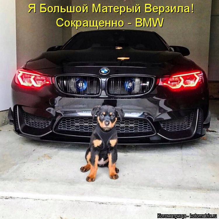 Котоматрица: Я Большой Матерый Верзила! Сокращенно - BMW