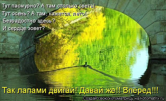 Котоматрица: Тут пасмурно? А там столько света! Тут осень? А там, кажется, лето! Безрадостно здесь? И сердце зовет? Так лапами двигай! Давай же!! Вперед!!!