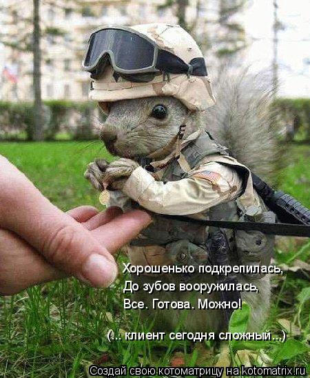 Котоматрица: Хорошенько подкрепилась, До зубов вооружилась, Все. Готова. Можно! (... клиент сегодня сложный...)