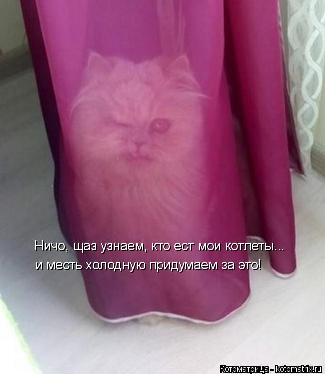 Котоматрица: Ничо, щаз узнаем, кто ест мои котлеты... и месть холодную придумаем за это!