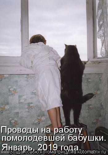 Котоматрица: помолодевшей бабушки. Проводы на работу  Январь, 2019 года.