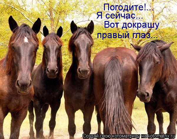 Котоматрица: Погодите!... Я сейчас... Вот докрашу  правый глаз...